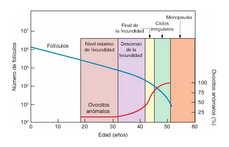 grafica1